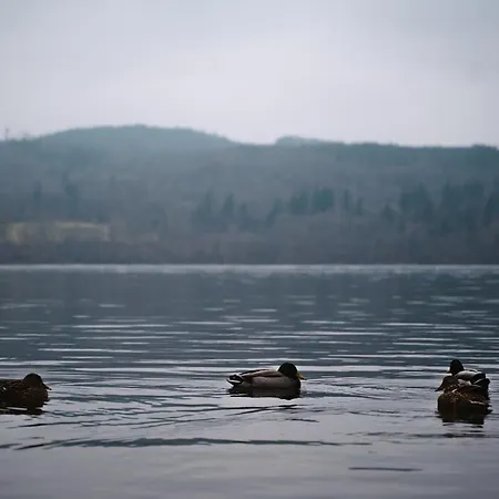 Beautiful 3bed Caravan On Windermere - On White Cross Bay Appartamento